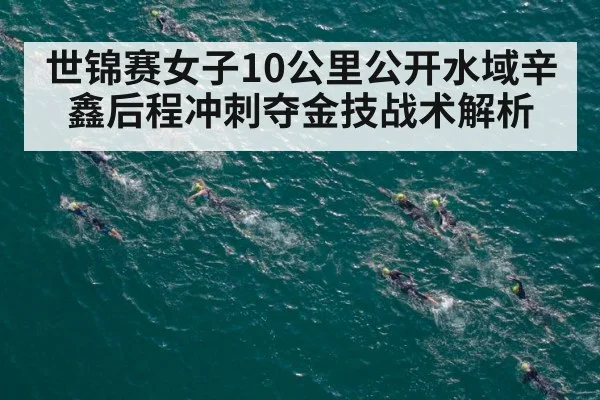 世锦赛女子10公里公开水域辛鑫后程冲刺夺金技战术解析