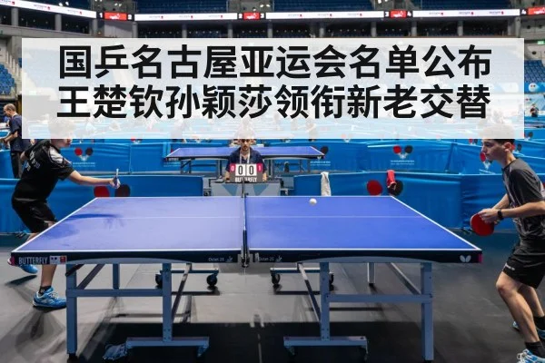 Sun Yingsha table tennis