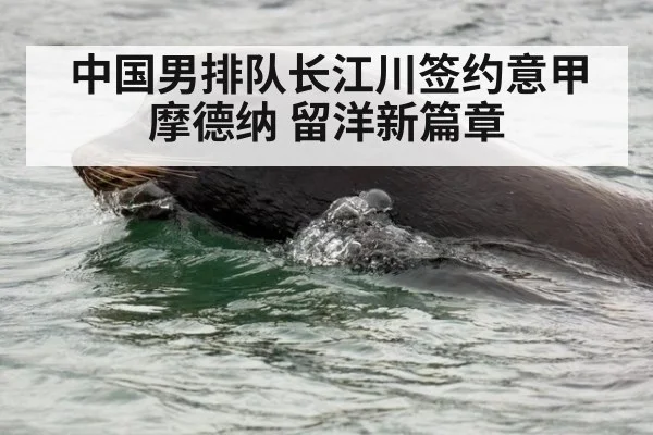 中国男排队长江川签约意甲摩德纳 留洋新篇章