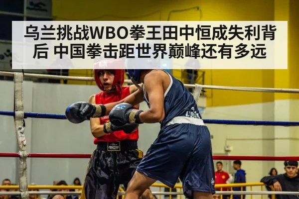 boxing match ring